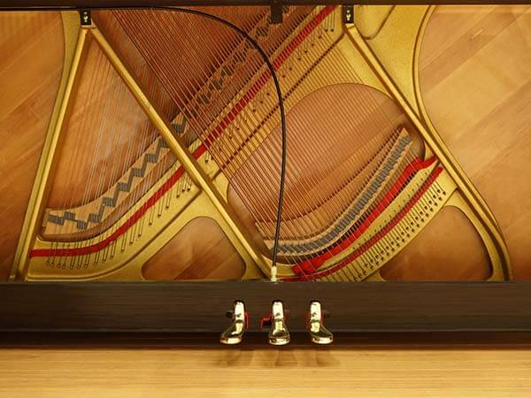 Music City – Tổng Kho Piano, Guitar, Organ | Dịch Vụ Giáo Dục Âm Nhạc