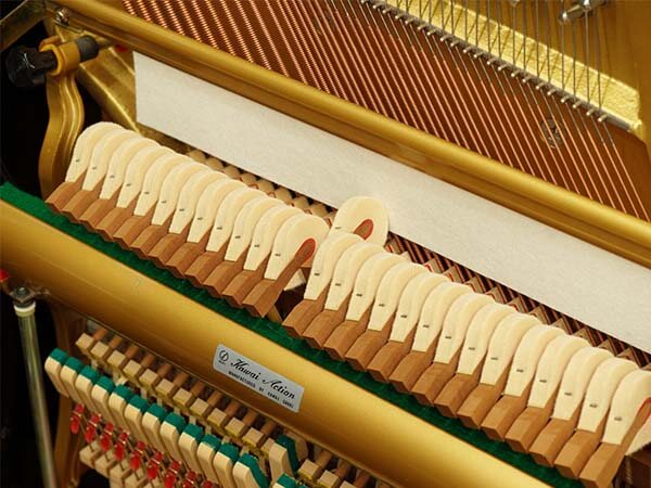 Music City – Tổng Kho Piano, Guitar, Organ | Dịch Vụ Giáo Dục Âm Nhạc