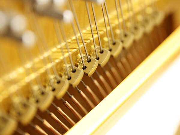 Hình ảnh Đàn Piano Kreutzer MK500 tại Music City - Ảnh musiccity.vn