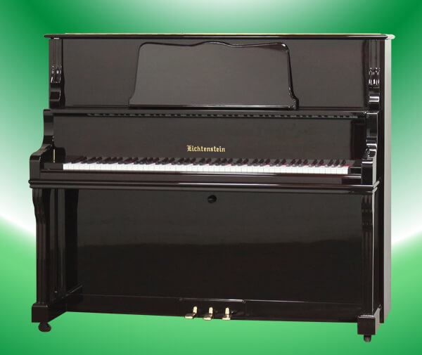 Music City – Tổng Kho Piano, Guitar, Organ | Dịch Vụ Giáo Dục Âm Nhạc