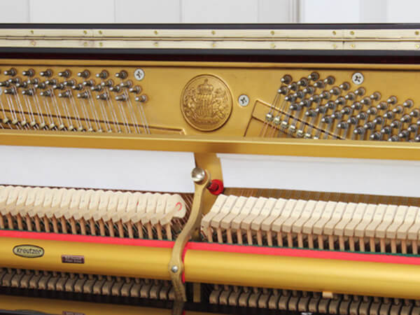 Music City – Tổng Kho Piano, Guitar, Organ | Dịch Vụ Giáo Dục Âm Nhạc