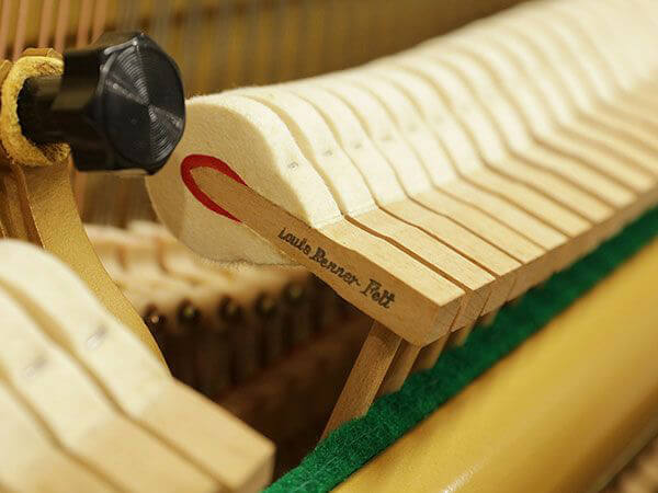 Music City – Tổng Kho Piano, Guitar, Organ | Dịch Vụ Giáo Dục Âm Nhạc