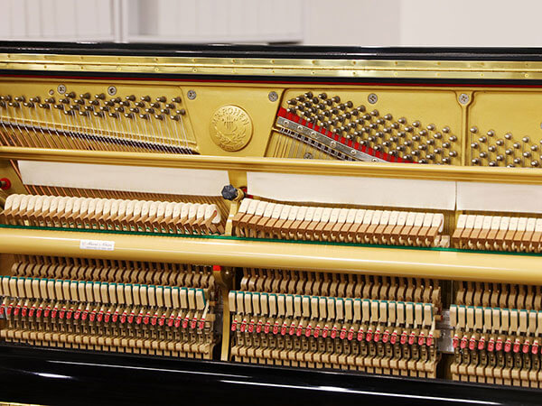 Music City – Tổng Kho Piano, Guitar, Organ | Dịch Vụ Giáo Dục Âm Nhạc