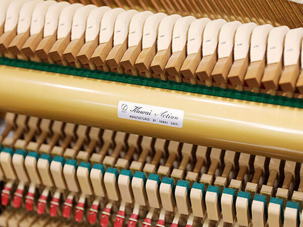 Music City – Tổng Kho Piano, Guitar, Organ | Dịch Vụ Giáo Dục Âm Nhạc