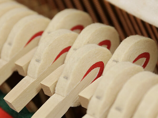 Music City – Tổng Kho Piano, Guitar, Organ | Dịch Vụ Giáo Dục Âm Nhạc