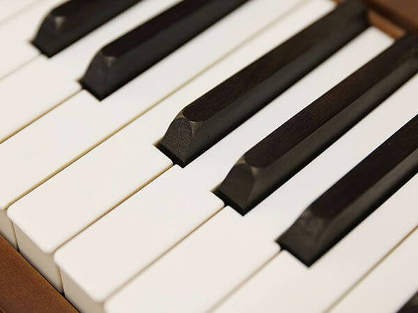 Music City – Tổng Kho Piano, Guitar, Organ | Dịch Vụ Giáo Dục Âm Nhạc