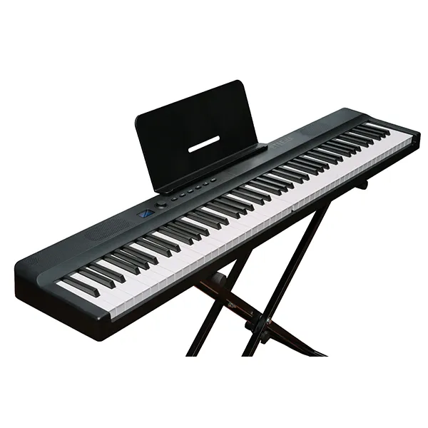 Music City – Tổng Kho Piano, Guitar, Organ | Dịch Vụ Giáo Dục Âm Nhạc