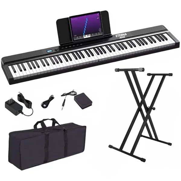 Music City – Tổng Kho Piano, Guitar, Organ | Dịch Vụ Giáo Dục Âm Nhạc