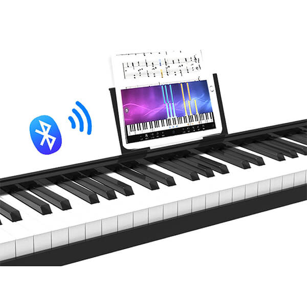 Music City – Tổng Kho Piano, Guitar, Organ | Dịch Vụ Giáo Dục Âm Nhạc