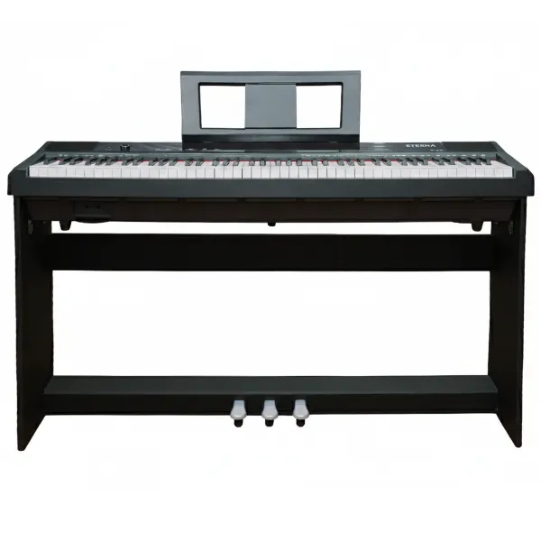 Music City – Tổng Kho Piano, Guitar, Organ | Dịch Vụ Giáo Dục Âm Nhạc