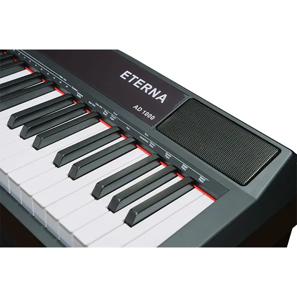 Music City – Tổng Kho Piano, Guitar, Organ | Dịch Vụ Giáo Dục Âm Nhạc