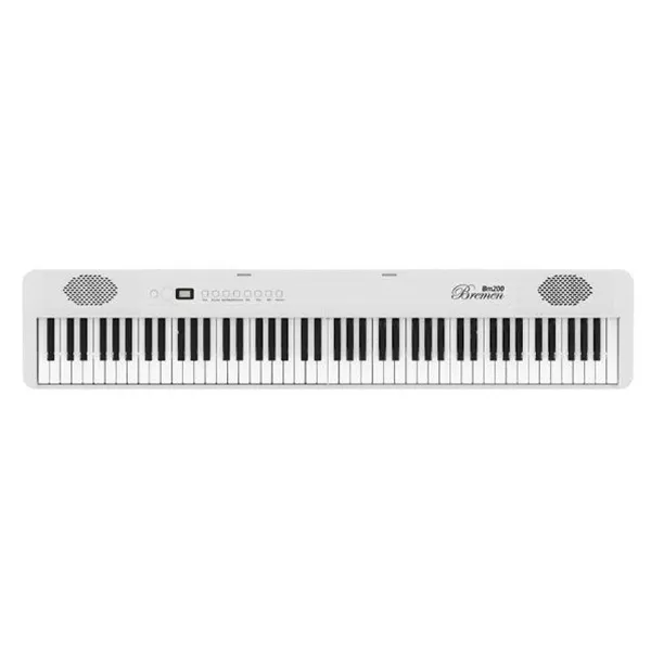 Music City – Tổng Kho Piano, Guitar, Organ | Dịch Vụ Giáo Dục Âm Nhạc