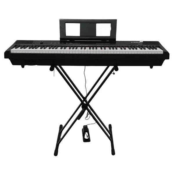 Music City – Tổng Kho Piano, Guitar, Organ | Dịch Vụ Giáo Dục Âm Nhạc