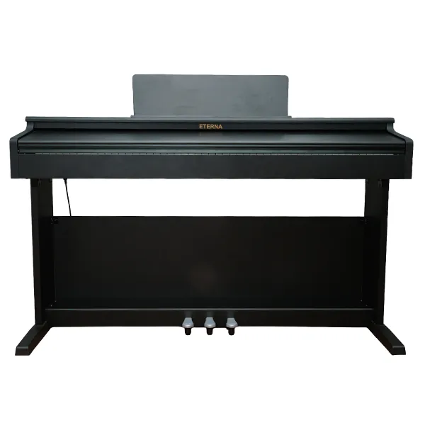 Music City – Tổng Kho Piano, Guitar, Organ | Dịch Vụ Giáo Dục Âm Nhạc