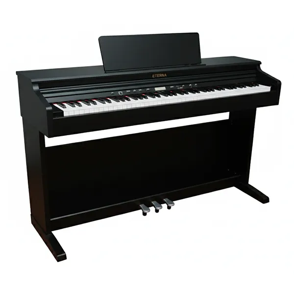 Music City – Tổng Kho Piano, Guitar, Organ | Dịch Vụ Giáo Dục Âm Nhạc