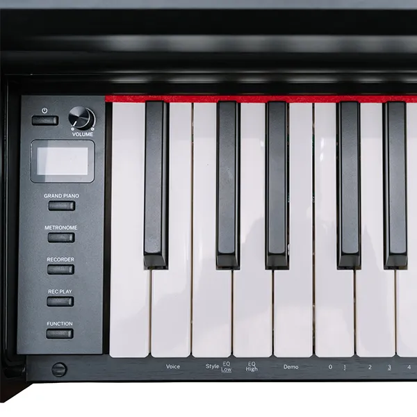 Music City – Tổng Kho Piano, Guitar, Organ | Dịch Vụ Giáo Dục Âm Nhạc