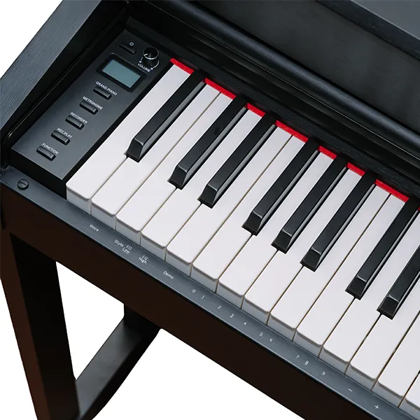 Music City – Tổng Kho Piano, Guitar, Organ | Dịch Vụ Giáo Dục Âm Nhạc