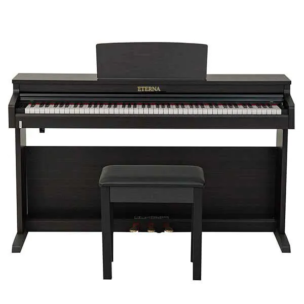 Music City – Tổng Kho Piano, Guitar, Organ | Dịch Vụ Giáo Dục Âm Nhạc