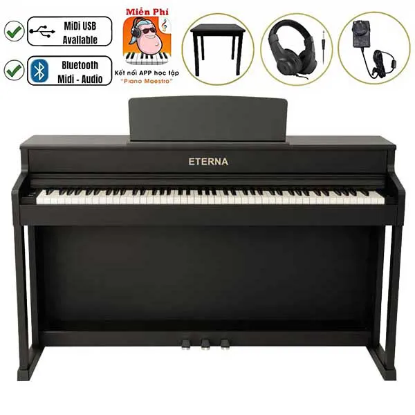 Music City – Tổng Kho Piano, Guitar, Organ | Dịch Vụ Giáo Dục Âm Nhạc