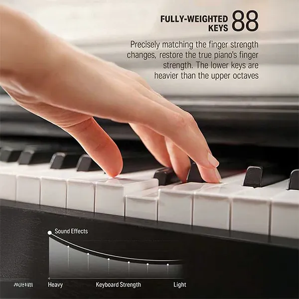 Music City – Tổng Kho Piano, Guitar, Organ | Dịch Vụ Giáo Dục Âm Nhạc