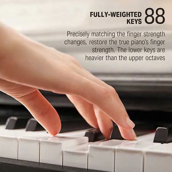 Music City – Tổng Kho Piano, Guitar, Organ | Dịch Vụ Giáo Dục Âm Nhạc
