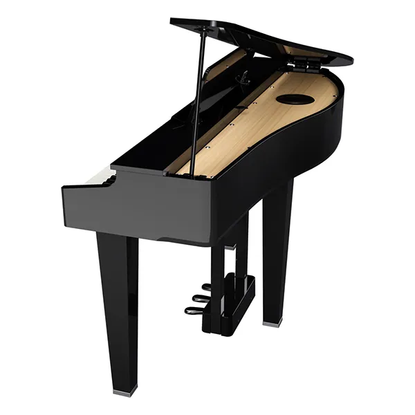 Music City – Tổng Kho Piano, Guitar, Organ | Dịch Vụ Giáo Dục Âm Nhạc