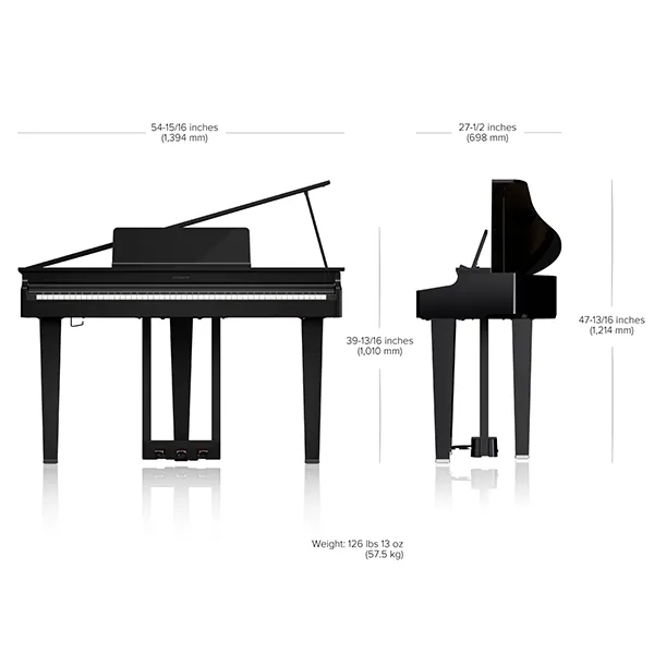 Music City – Tổng Kho Piano, Guitar, Organ | Dịch Vụ Giáo Dục Âm Nhạc