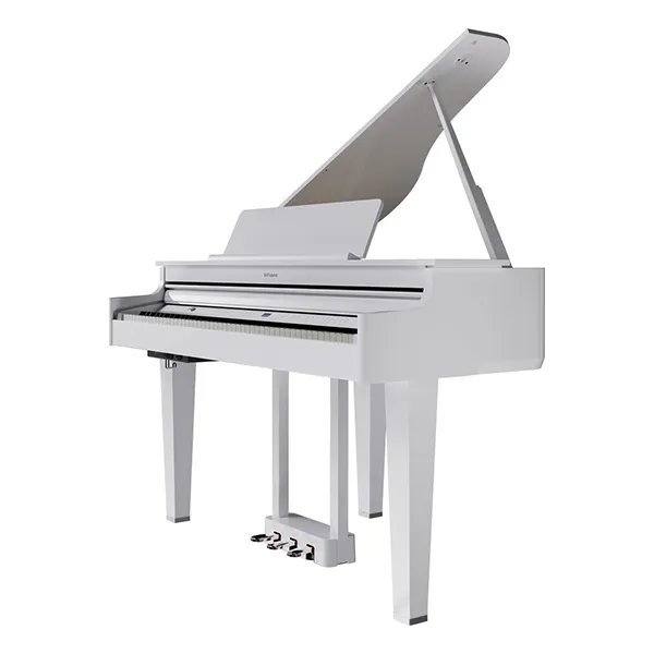 Music City – Tổng Kho Piano, Guitar, Organ | Dịch Vụ Giáo Dục Âm Nhạc
