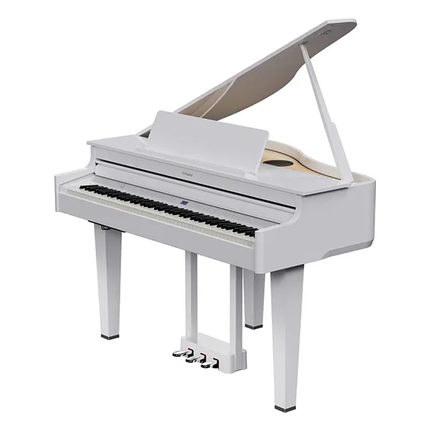 Music City – Tổng Kho Piano, Guitar, Organ | Dịch Vụ Giáo Dục Âm Nhạc