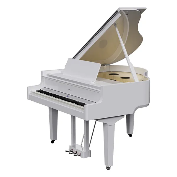Music City – Tổng Kho Piano, Guitar, Organ | Dịch Vụ Giáo Dục Âm Nhạc