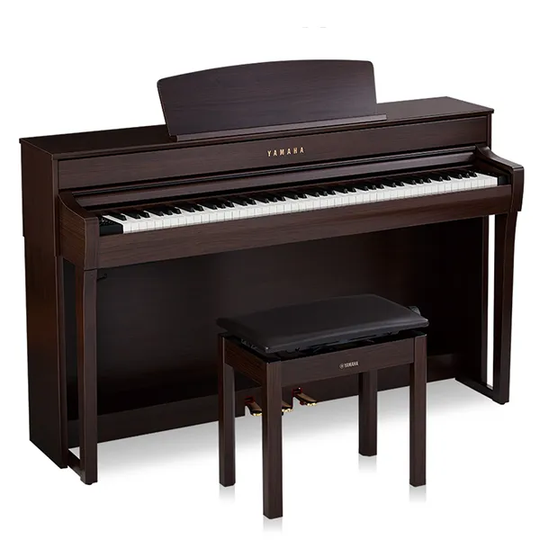 Music City – Tổng Kho Piano, Guitar, Organ | Dịch Vụ Giáo Dục Âm Nhạc