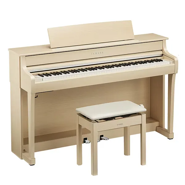 Music City – Tổng Kho Piano, Guitar, Organ | Dịch Vụ Giáo Dục Âm Nhạc