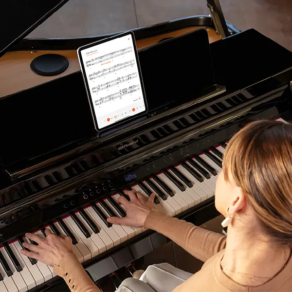 Music City – Tổng Kho Piano, Guitar, Organ | Dịch Vụ Giáo Dục Âm Nhạc