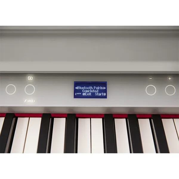 Music City – Tổng Kho Piano, Guitar, Organ | Dịch Vụ Giáo Dục Âm Nhạc