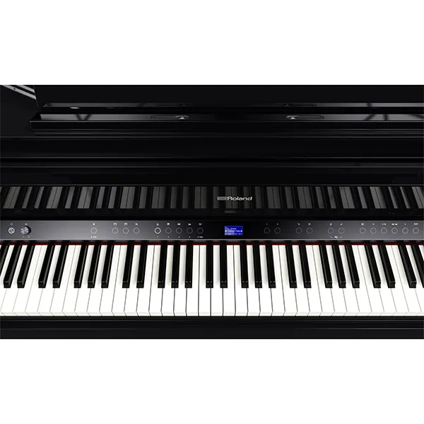 Music City – Tổng Kho Piano, Guitar, Organ | Dịch Vụ Giáo Dục Âm Nhạc