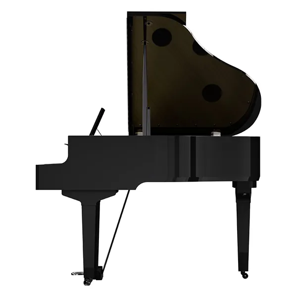 Music City – Tổng Kho Piano, Guitar, Organ | Dịch Vụ Giáo Dục Âm Nhạc