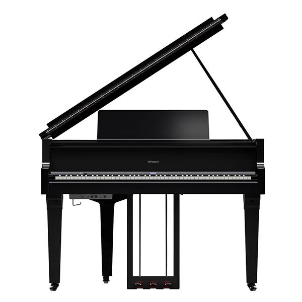 Music City – Tổng Kho Piano, Guitar, Organ | Dịch Vụ Giáo Dục Âm Nhạc