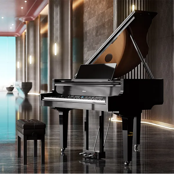 Music City – Tổng Kho Piano, Guitar, Organ | Dịch Vụ Giáo Dục Âm Nhạc