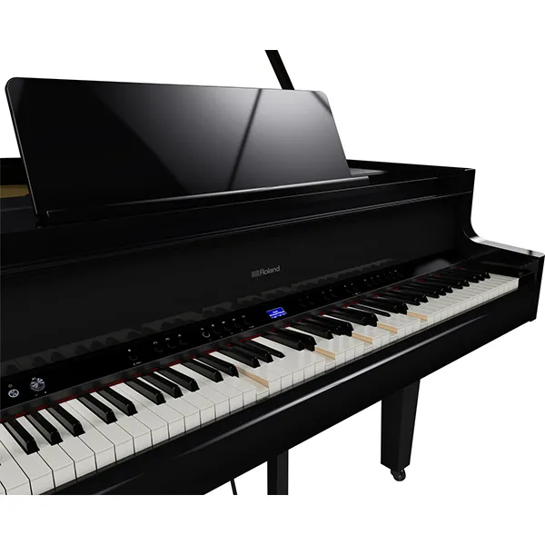 Music City – Tổng Kho Piano, Guitar, Organ | Dịch Vụ Giáo Dục Âm Nhạc