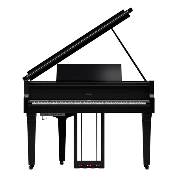 Music City – Tổng Kho Piano, Guitar, Organ | Dịch Vụ Giáo Dục Âm Nhạc