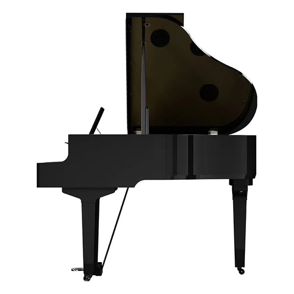 Music City – Tổng Kho Piano, Guitar, Organ | Dịch Vụ Giáo Dục Âm Nhạc