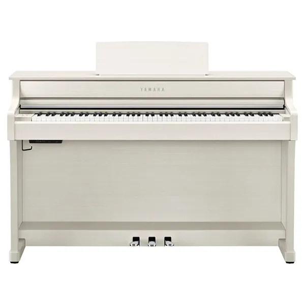Music City – Tổng Kho Piano, Guitar, Organ | Dịch Vụ Giáo Dục Âm Nhạc