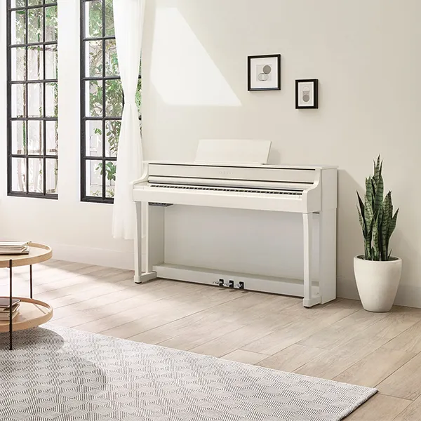 Music City – Tổng Kho Piano, Guitar, Organ | Dịch Vụ Giáo Dục Âm Nhạc