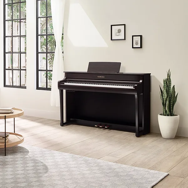 Music City – Tổng Kho Piano, Guitar, Organ | Dịch Vụ Giáo Dục Âm Nhạc