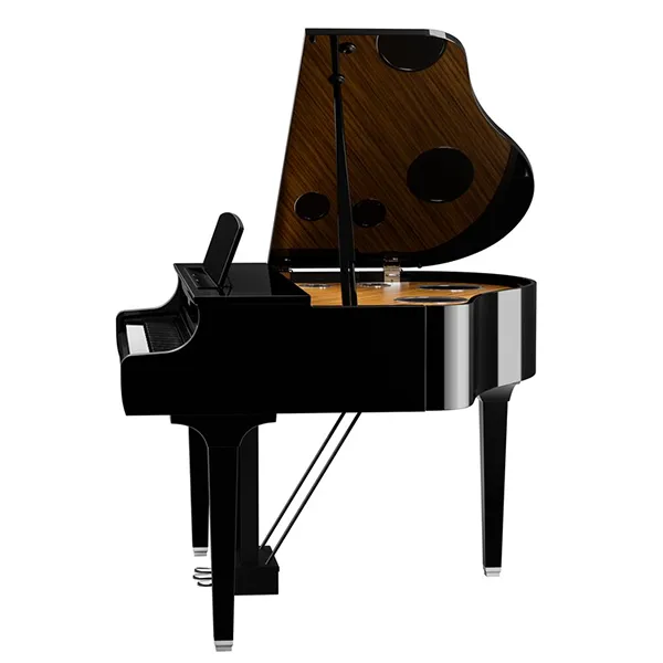 Music City – Tổng Kho Piano, Guitar, Organ | Dịch Vụ Giáo Dục Âm Nhạc