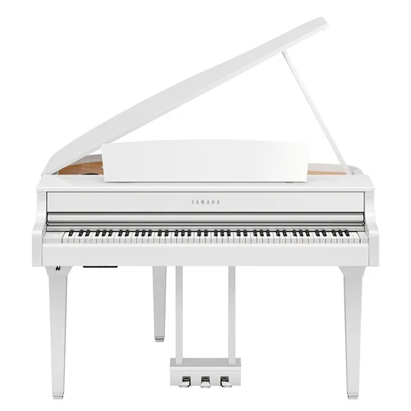 Music City – Tổng Kho Piano, Guitar, Organ | Dịch Vụ Giáo Dục Âm Nhạc