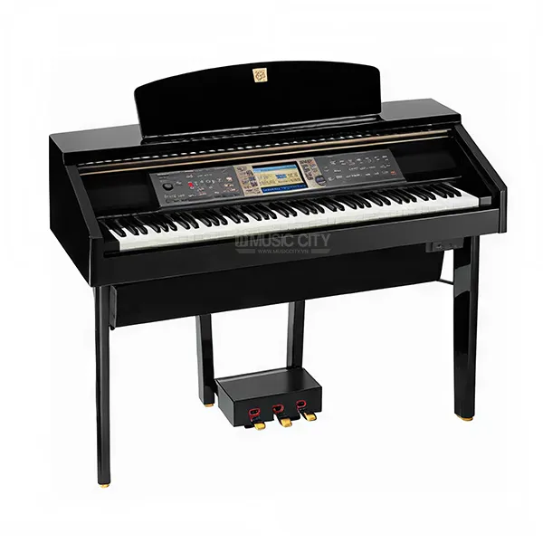 Music City – Tổng Kho Piano, Guitar, Organ | Dịch Vụ Giáo Dục Âm Nhạc