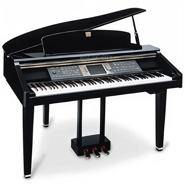 Music City – Tổng Kho Piano, Guitar, Organ | Dịch Vụ Giáo Dục Âm Nhạc