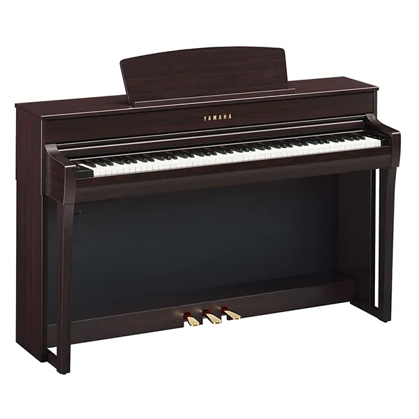 Music City – Tổng Kho Piano, Guitar, Organ | Dịch Vụ Giáo Dục Âm Nhạc