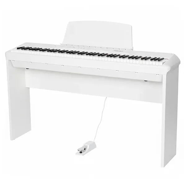 Music City – Tổng Kho Piano, Guitar, Organ | Dịch Vụ Giáo Dục Âm Nhạc